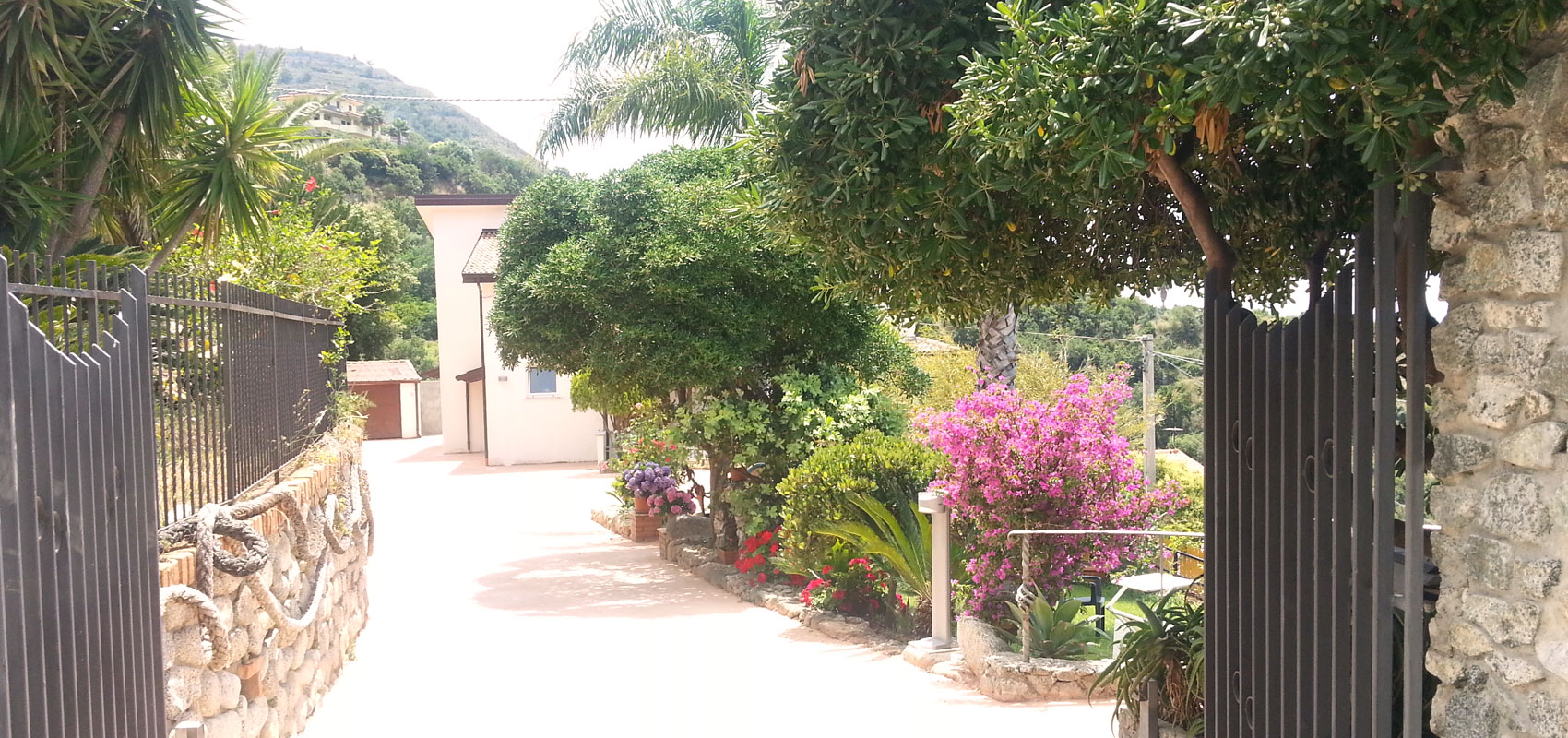 Ingresso
